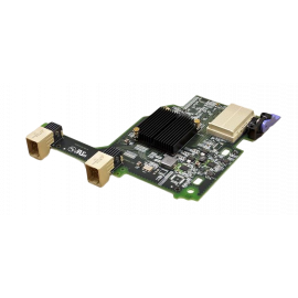 Dual Port 10 Gigabit Ethernet (IBM Blade)